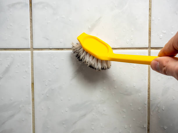 Best Professional Mold Removal  in Harristown, IL