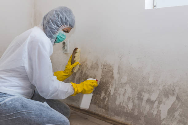 Water Damage Restoration in Harristown, IL