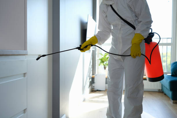 Best Emergency Mold Removal  in Harristown, IL