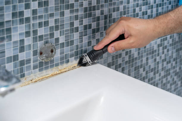 Best Mold Testing  in Harristown, IL